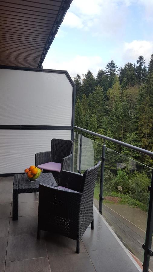 Apartament Dwupoziomowy Z Klimatyzacja Apartamento Krynica Zdroj Exterior foto